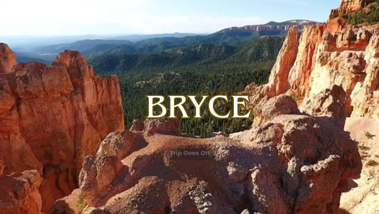 Bryce