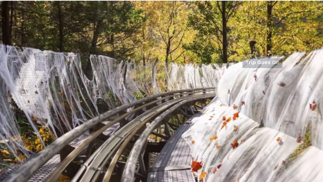 Mountain Coaster from Gatlinburg, Tennessee, United States Of America
