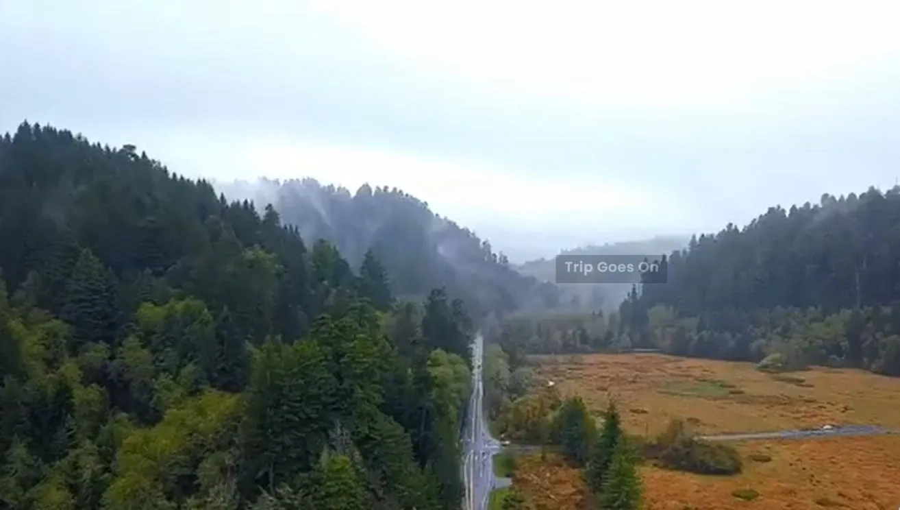 Nature view of Orick California United States Of America