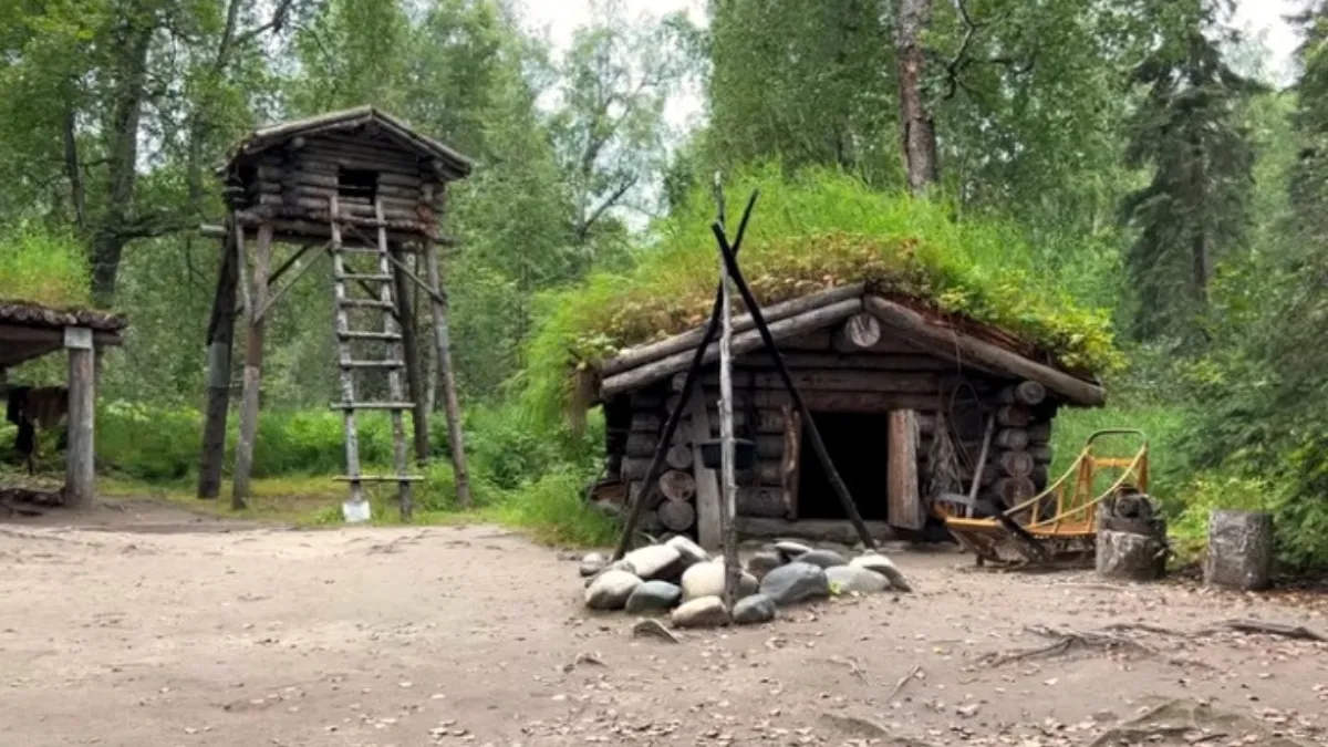 Trapper Cabin Talkeetna, Alaska, United States Of America