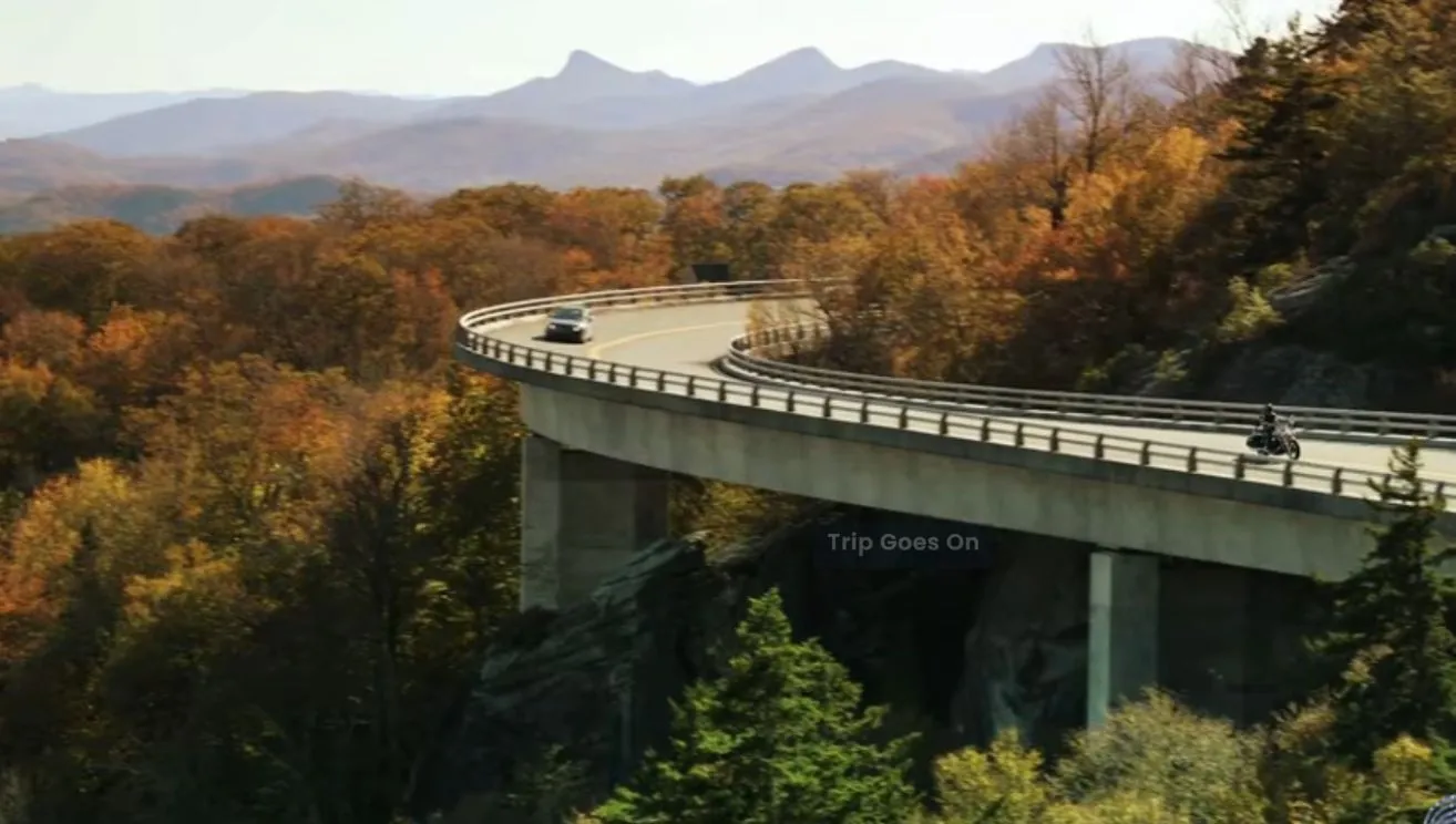 Tennessee Parked In paradise United States Of America