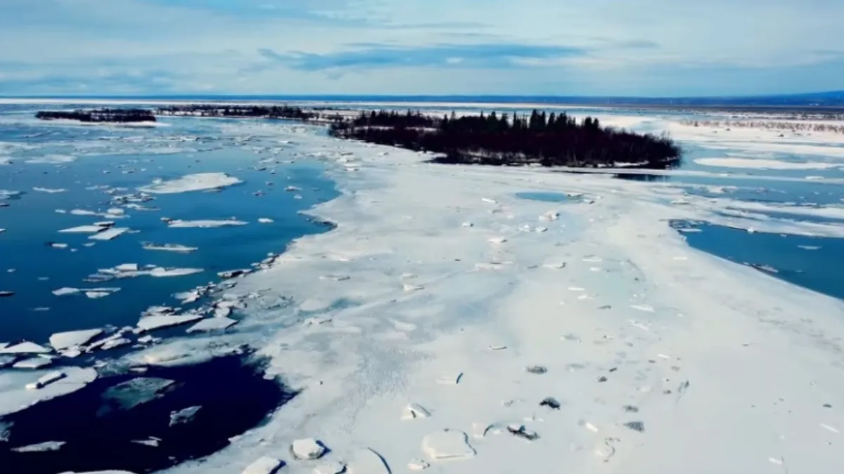 Wasilla, Alaska, United States Of America