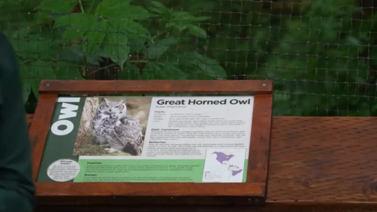 Alaska Raptor Center, Sitka, Alaska, United States Of America