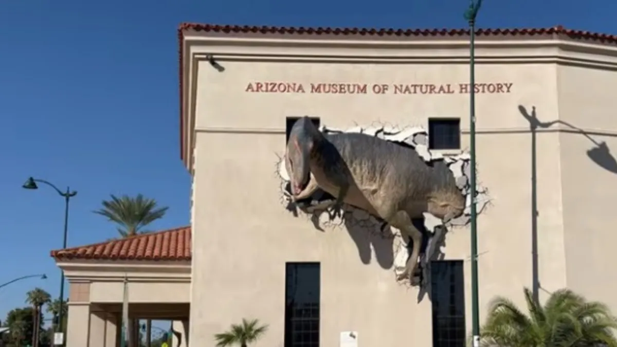 Arizona Museum of Natural History