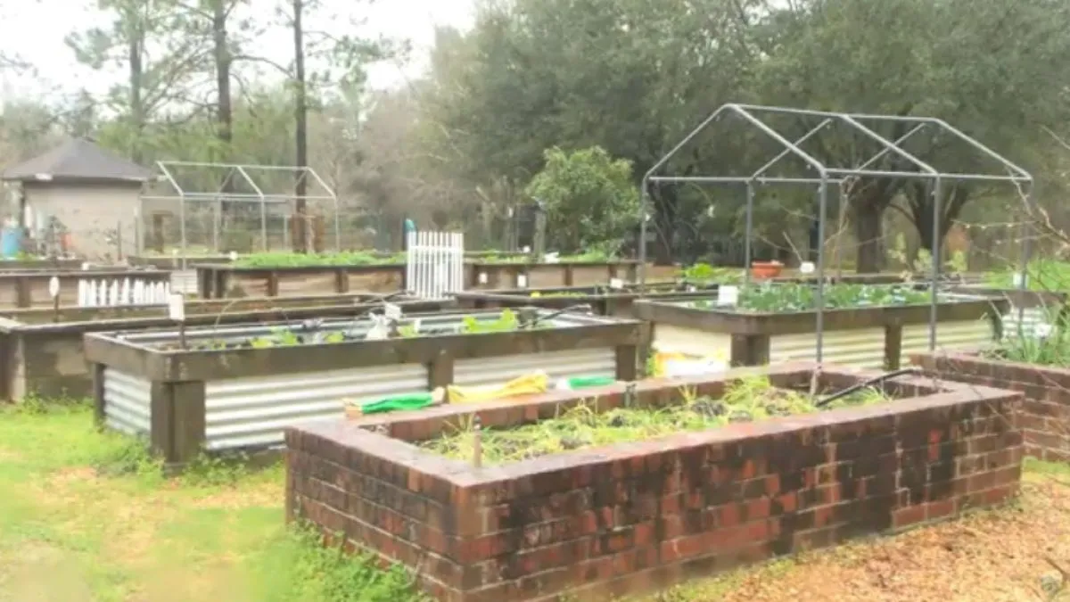 Inner View of Botanical Gardens, Dothan, Alabama, United States Of America
