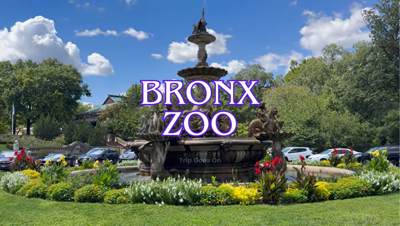 Bronx Zoo