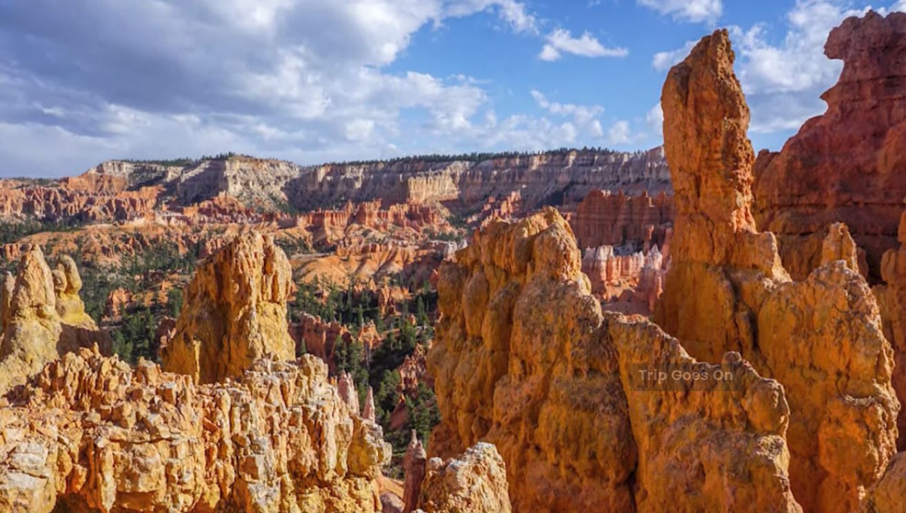Bryce Canyon National Park from Utah United States Of America