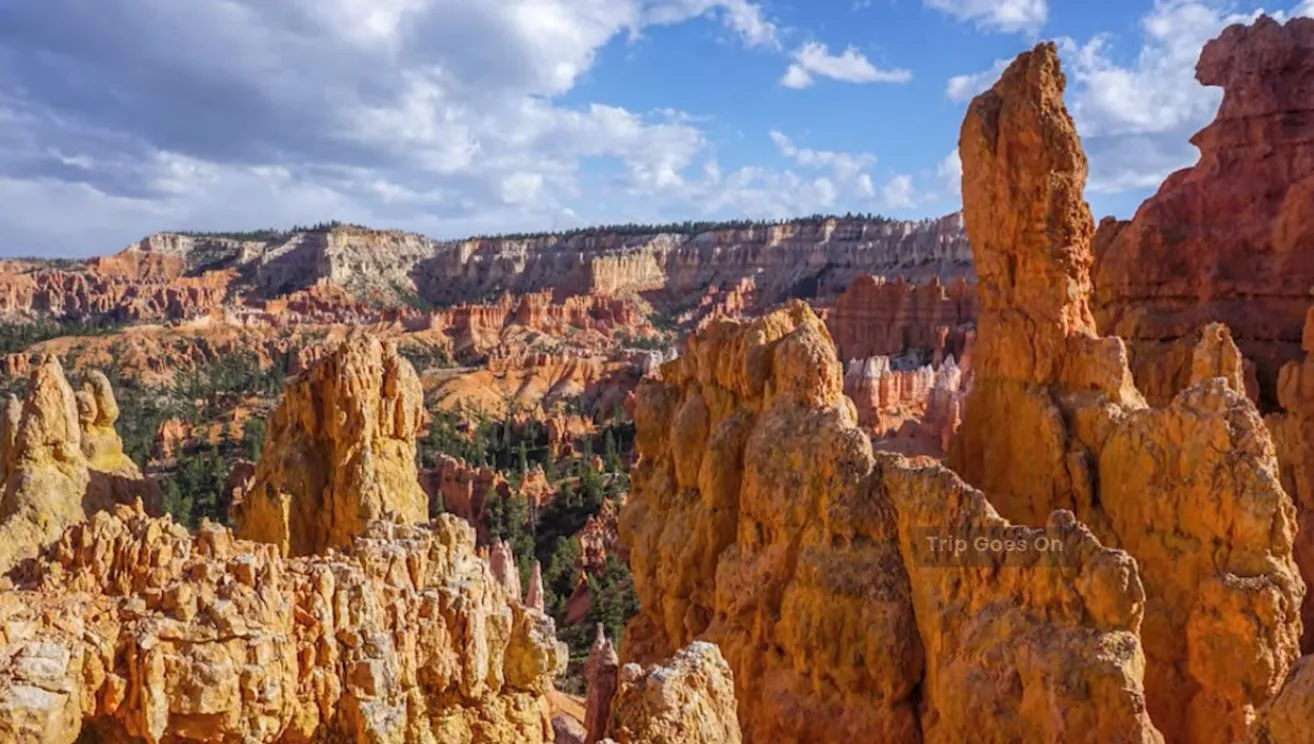 Bryce Canyon National Park from Utah United States Of America