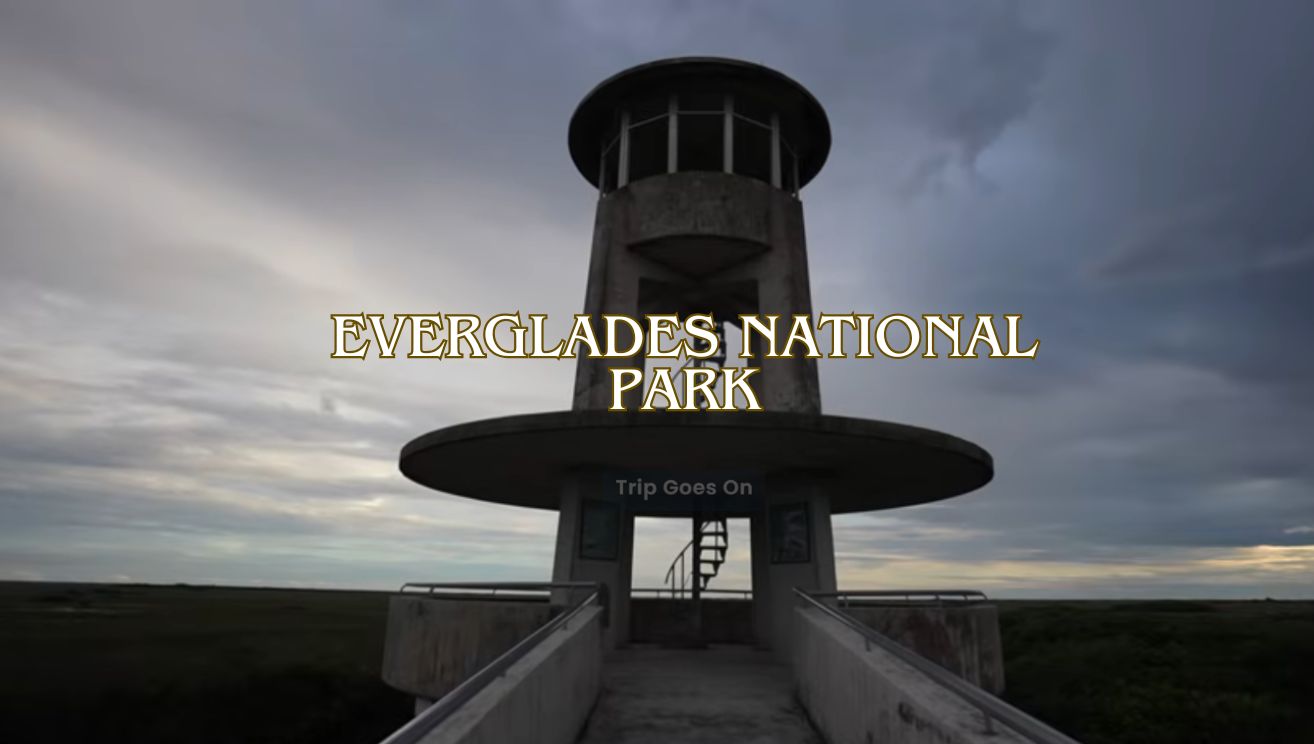 Everglades National Park