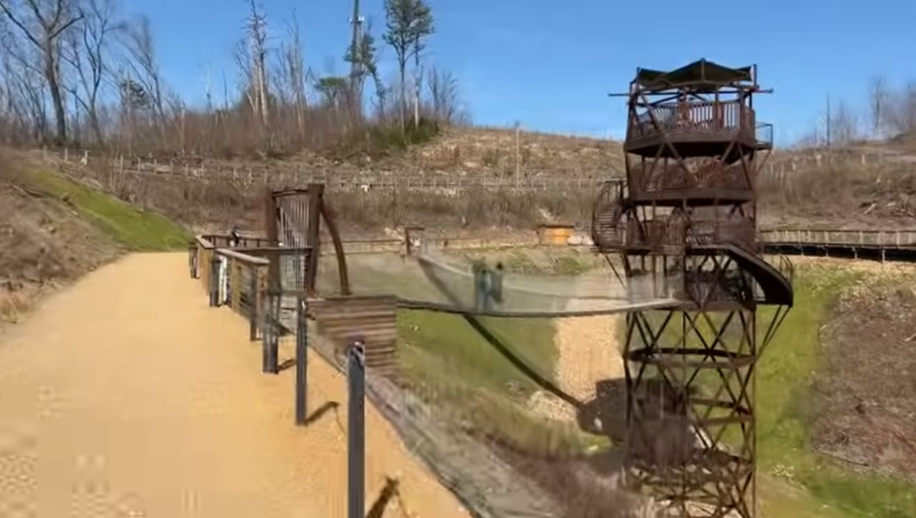 Gatlinburg Sky Lift Park, Gatlin Btulip Towerurg, Tennessee United States Of America