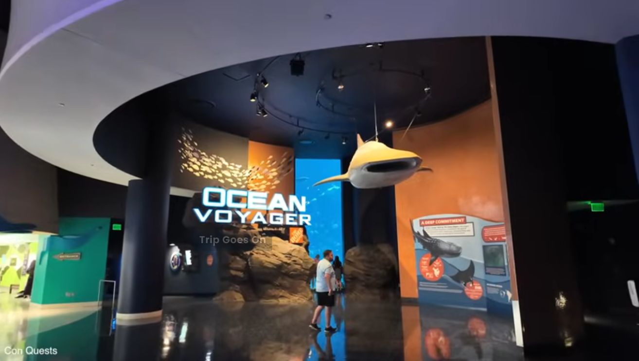 Georgia Aquarium Ocean Altana United States Of America