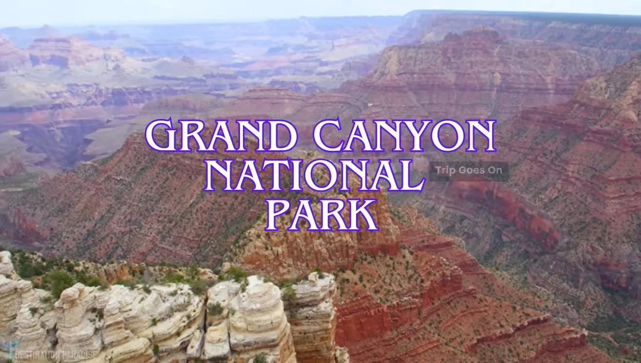 Grand Canyon National Park Grand Canyon Arizona United States Of America