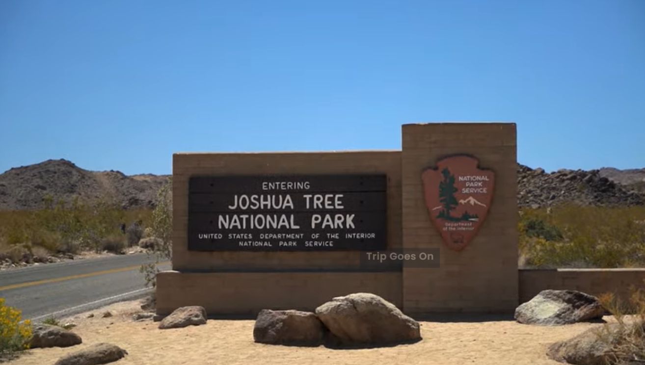 Joshua Tree National Park