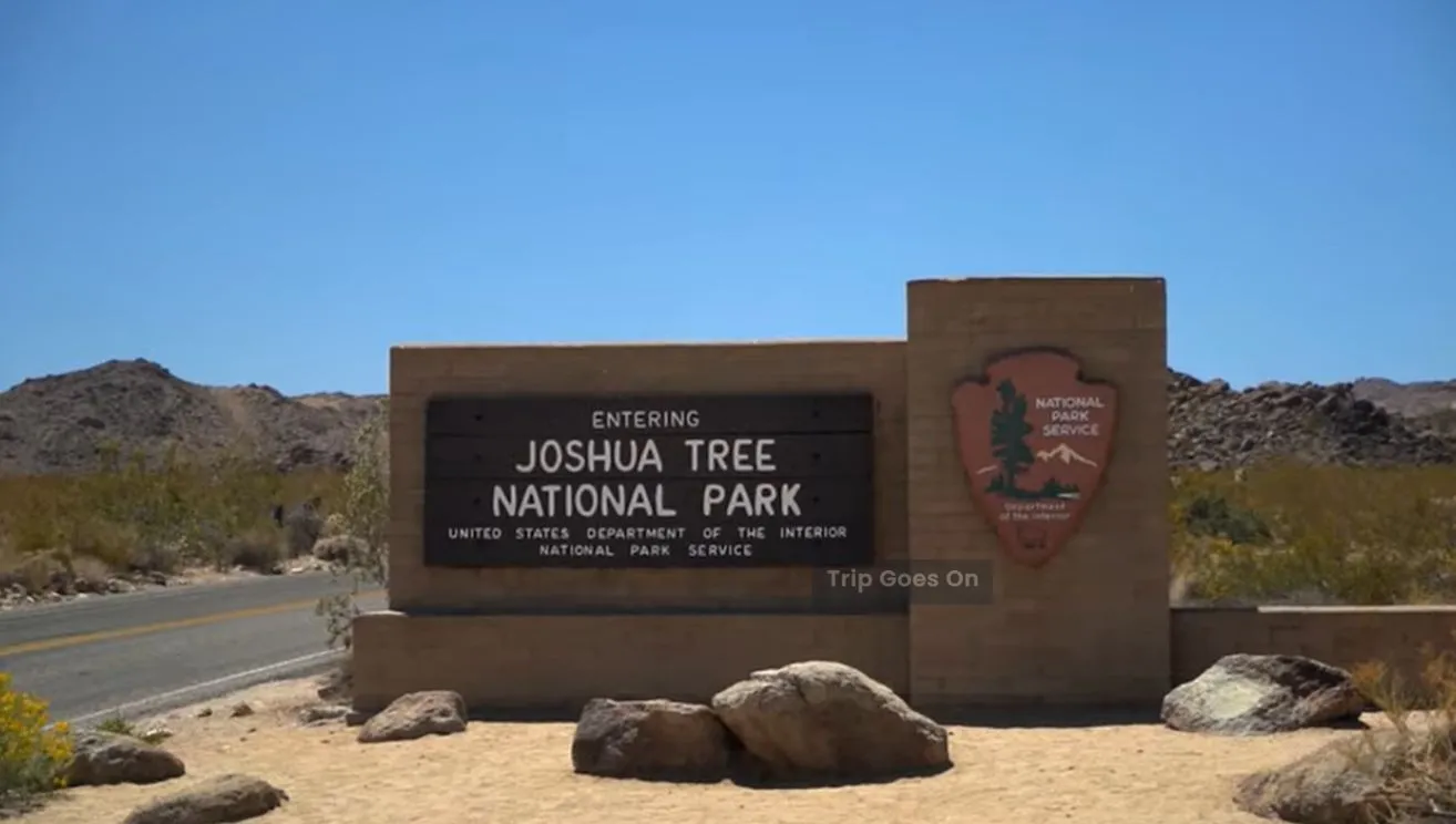 Joshua Tree National Park