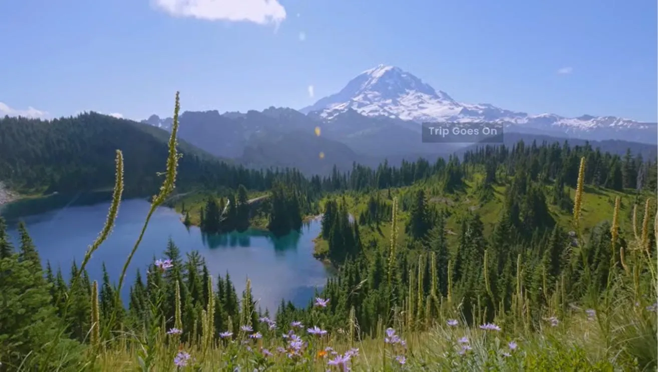 Mount Rainier National Park