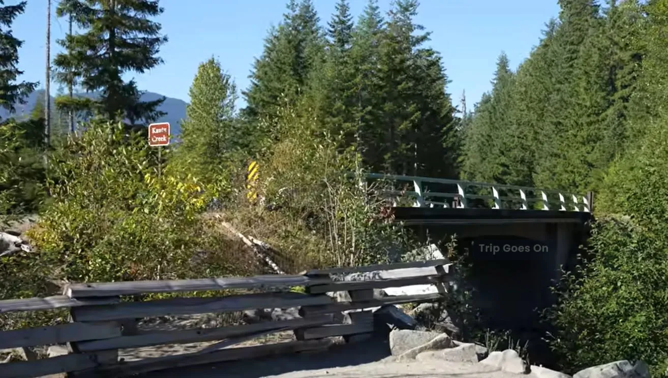 Mount Rainier National Park inner view Ashford Alabama United States Of America