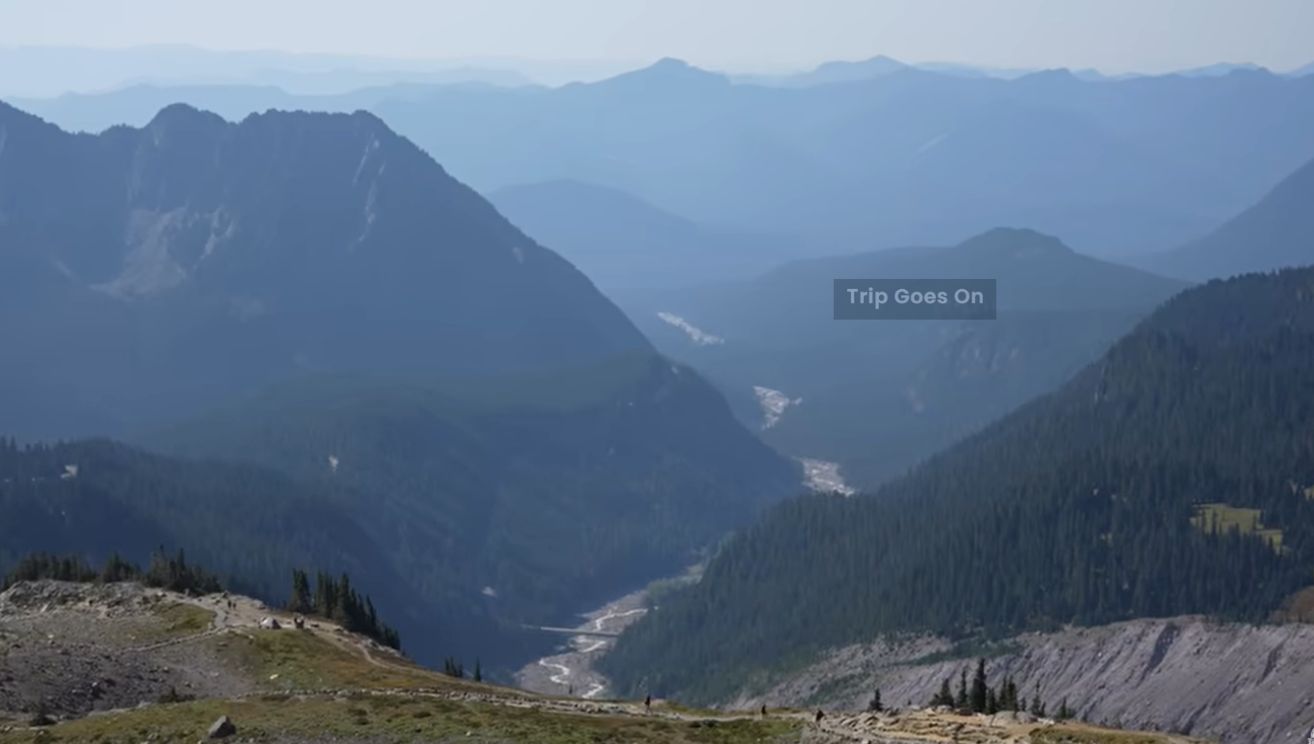 Mount Rainier National Park nature view Ashford Alabama United States Of America