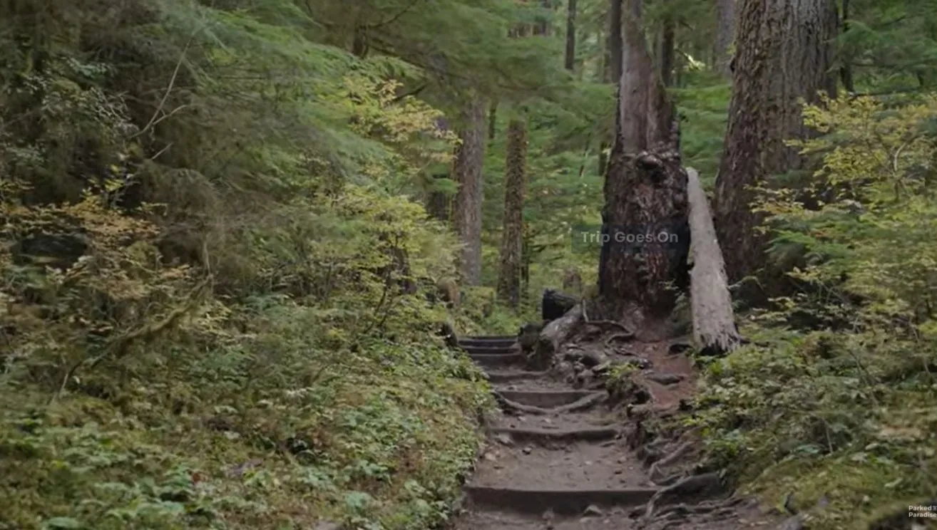 Sol Duc Vally of  Olympic National Park Washington United States Of America