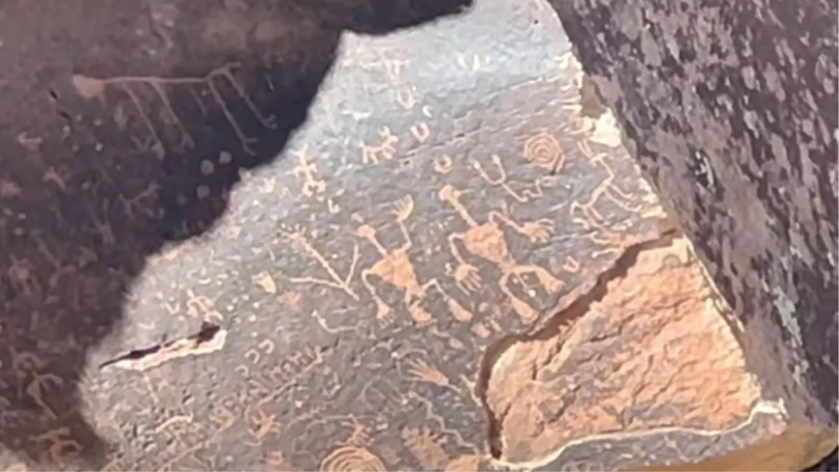 Petrified Forest National Park, Holbrook, Arizona, United States Of America