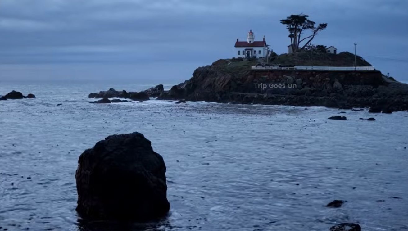 Lake view of Redwood National Park California United States Of America