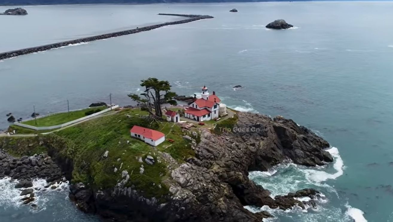 Sea Side View of Redwood National Park California United States Of America