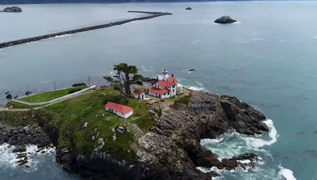 Sea Side View of Redwood National Park California United States Of America