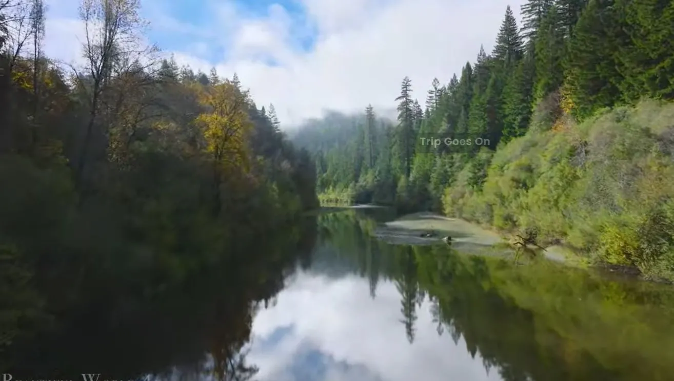 Redwood National Park California United States Of America