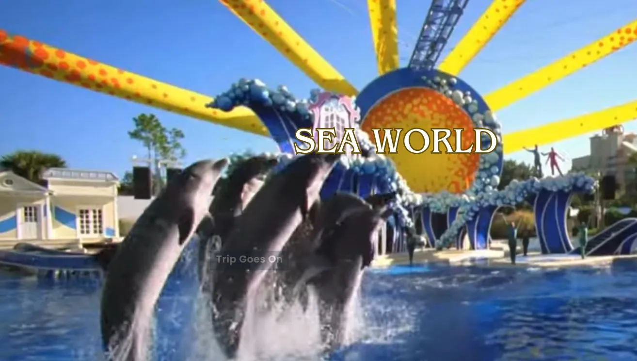 SeaWorld Orlando