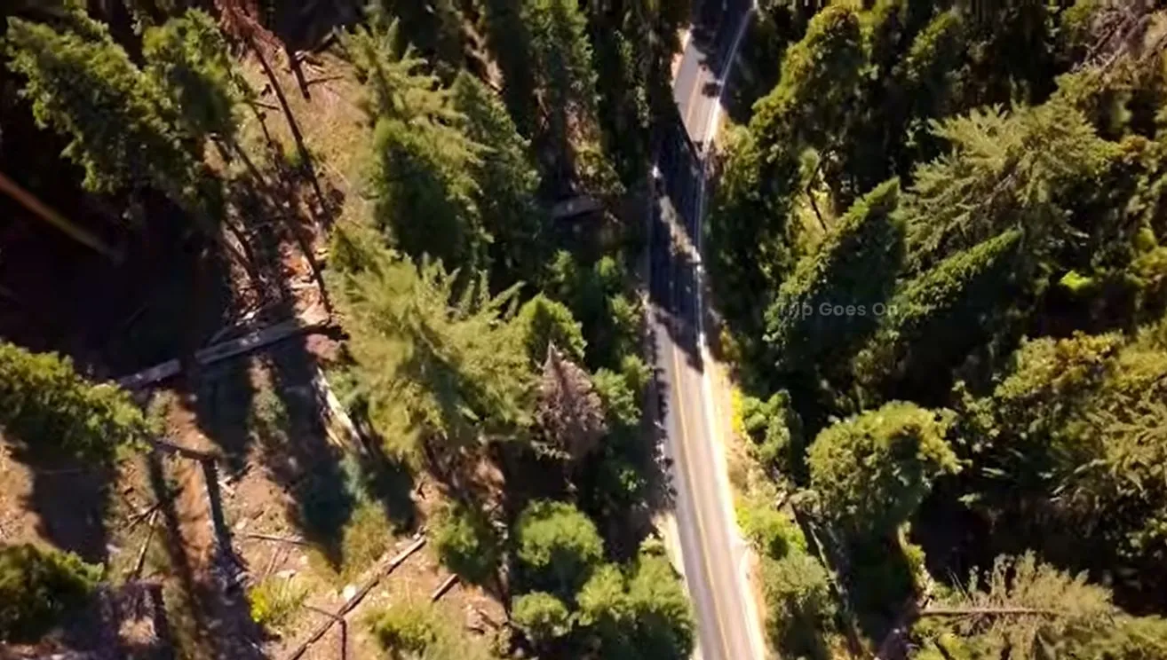 Drone View Of Sequoia National Park, Three Rivers, California, United States Of America