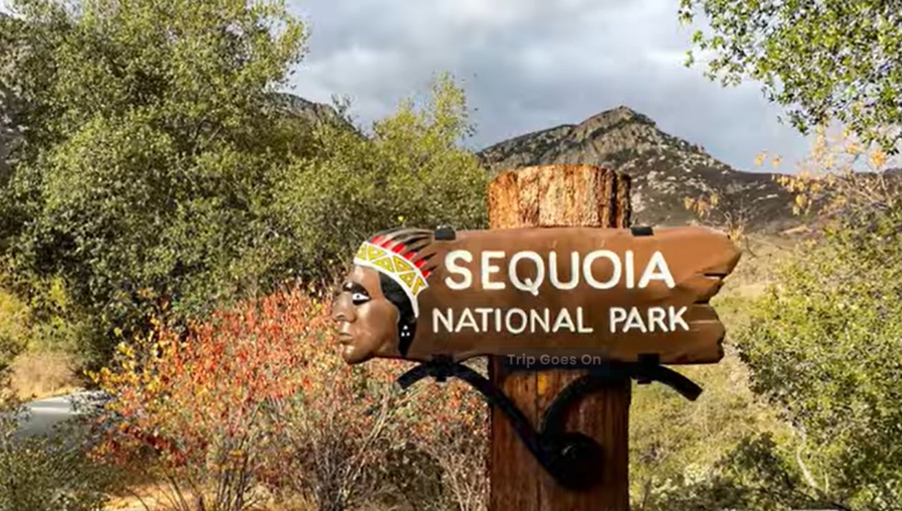 Sequoia National Park