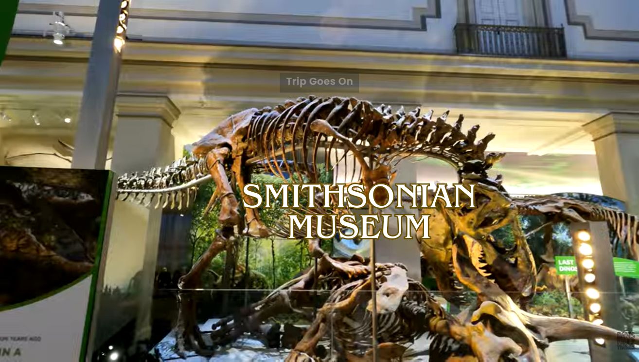 Smithsonian Museum Inner view Washington District Of Columbia United State Of America