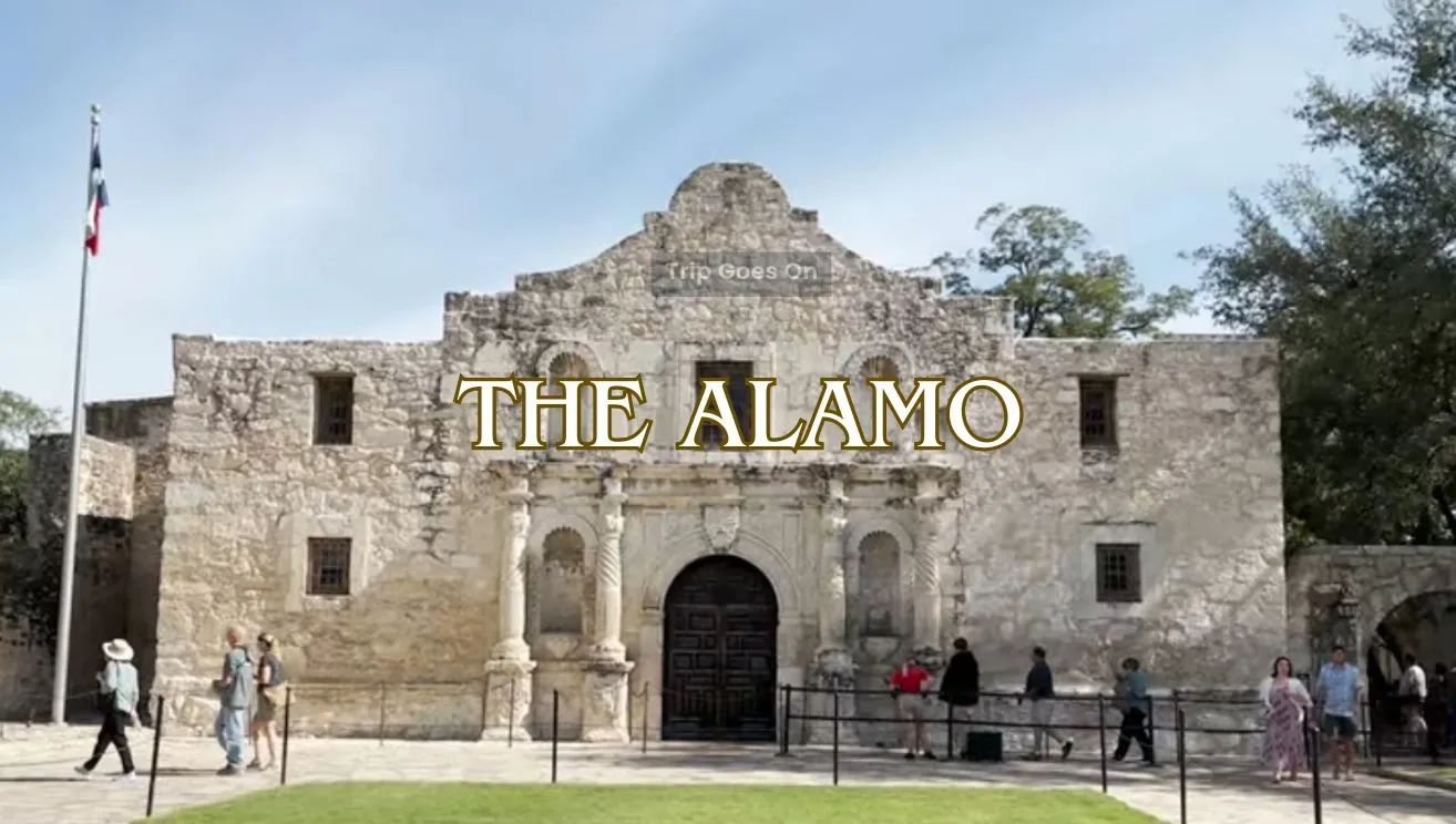 The Alamo