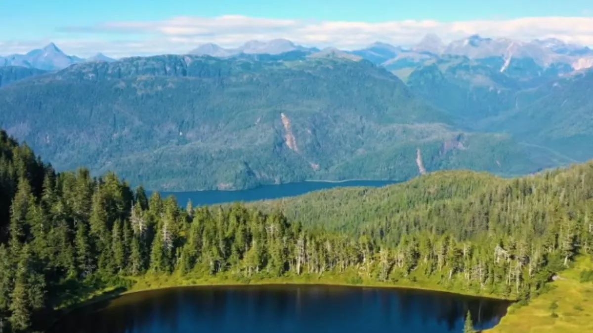 Tongass National Forest, Ketchikan, Alaska, United States Of America