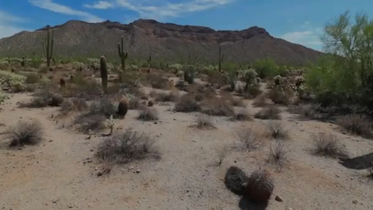 Usery Mountain Regional Park, Mesa, Arizona, United States Of America