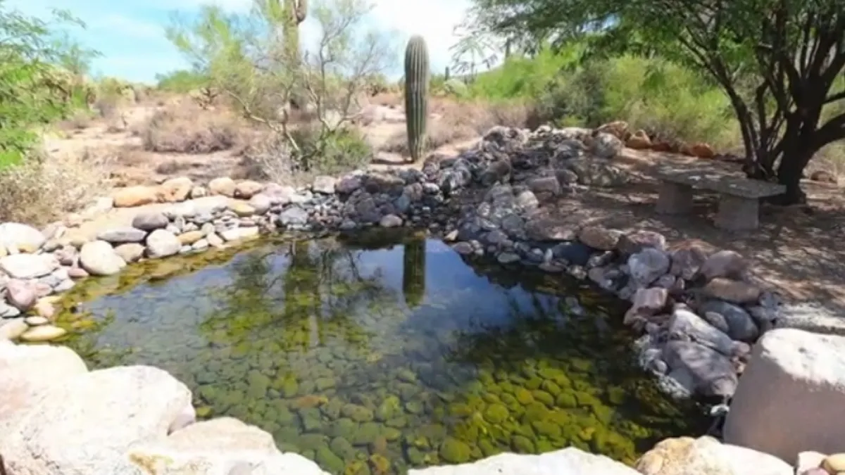 Usery Mountain Regional Park