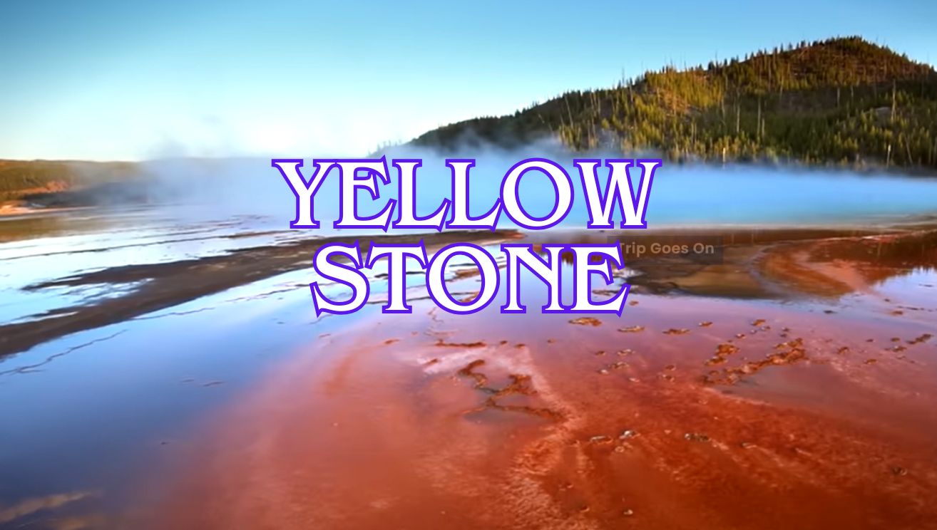 Yellow Stone Wyoming United States Of America