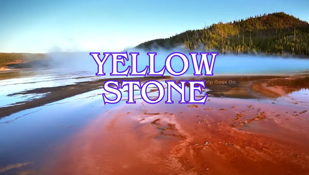 Yellow Stone Wyoming United States Of America