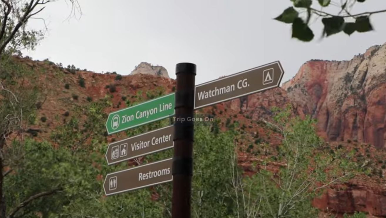 Zian National Park Utah Springdale United State Of America